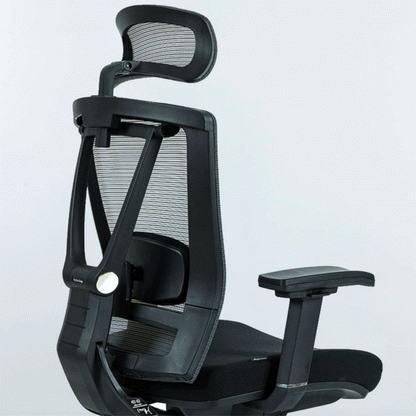 Kinetic Office Chair