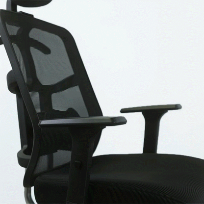 Aura Office Chair