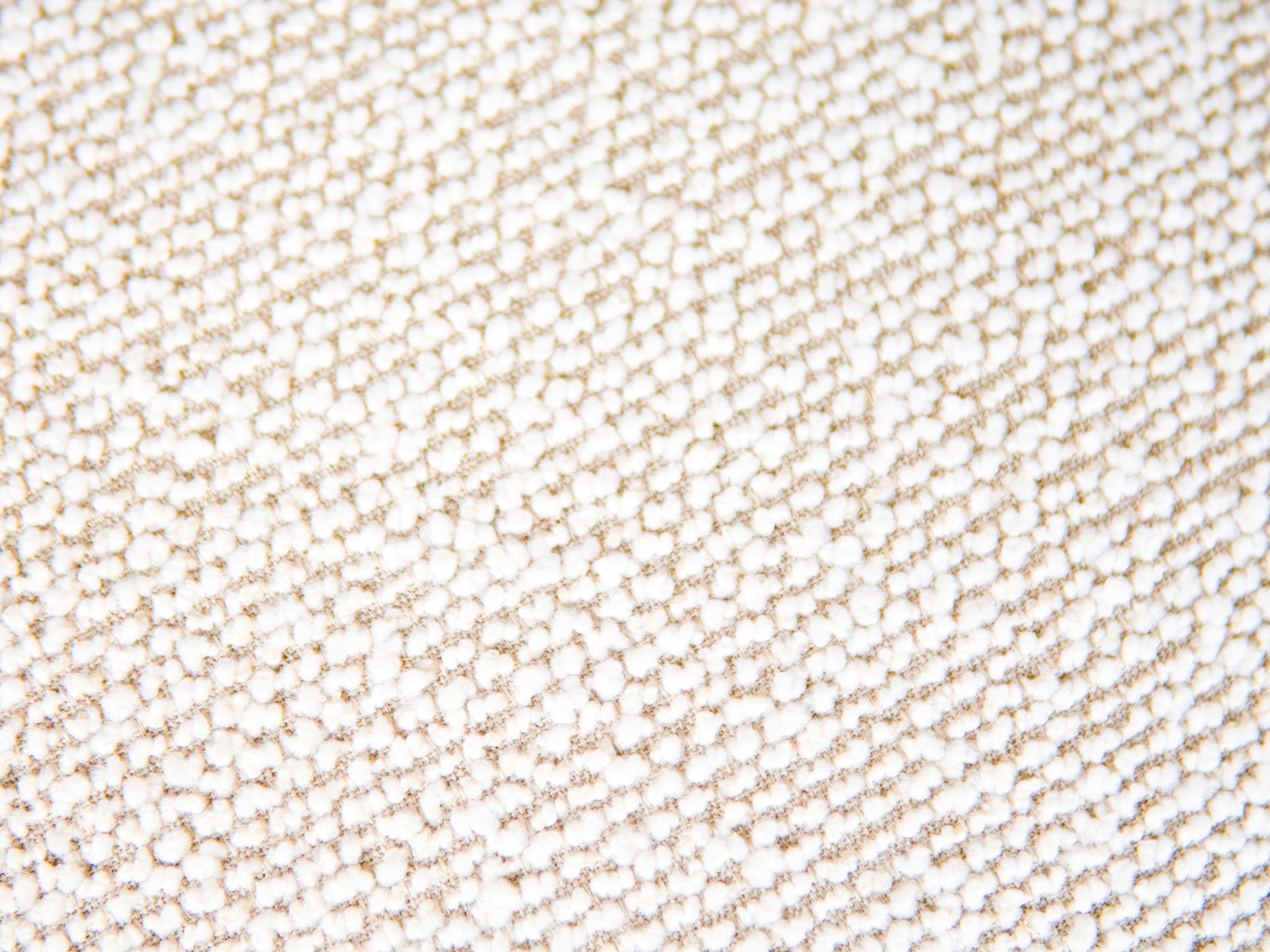 Cocoon